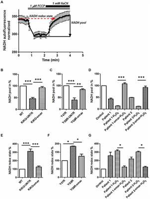 Novel Nrf2-Inducer Prevents Mitochondrial Defects and Oxidative Stress in Friedreich’s Ataxia Models